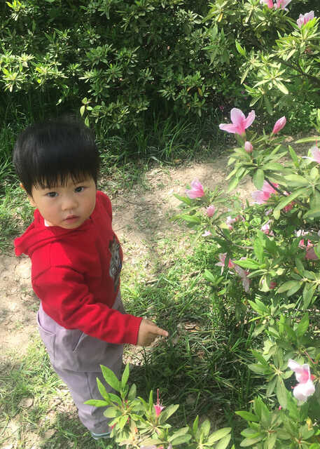 模特-