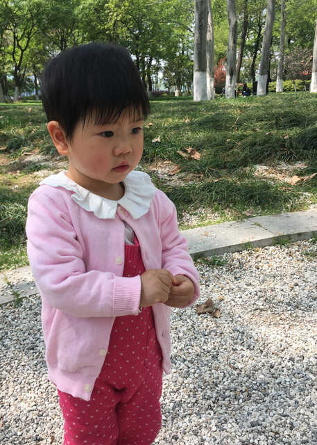 模特-
