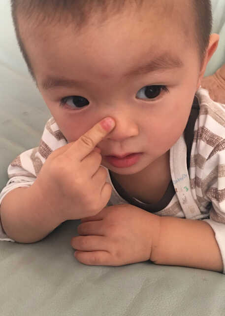 模特-