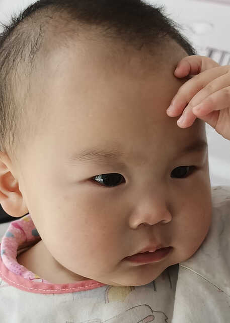 模特-