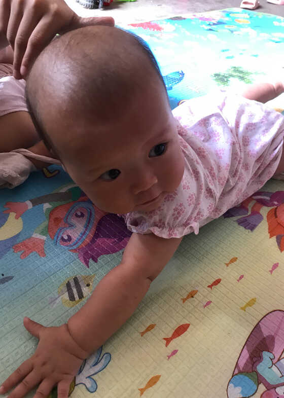 模特-
