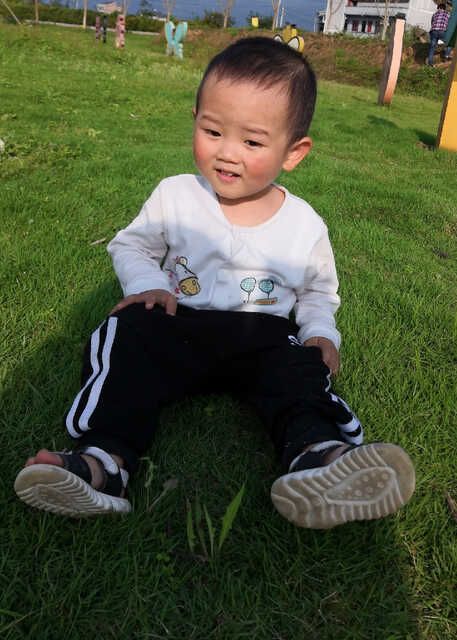 模特-