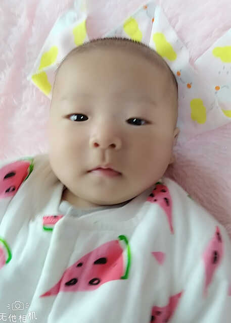 模特-