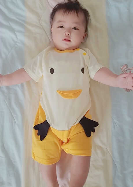 模特-