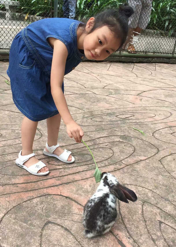模特-