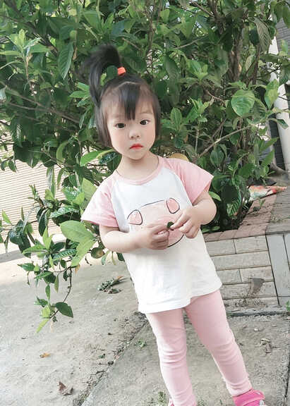 模特-