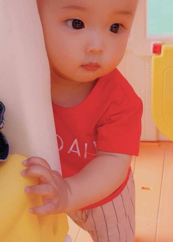 模特-