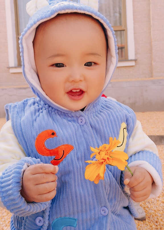 模特-