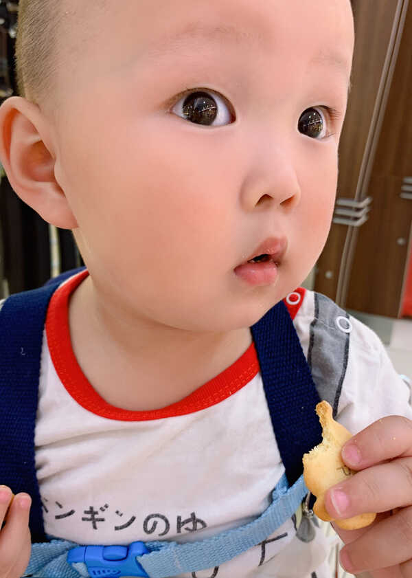 模特-