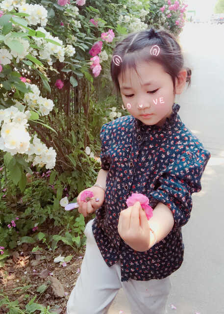 模特-