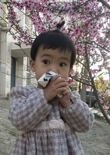模特-