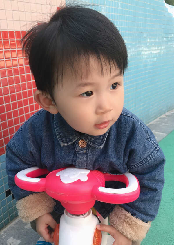 模特-