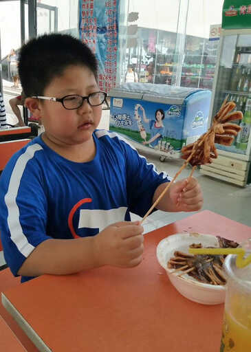 模特-