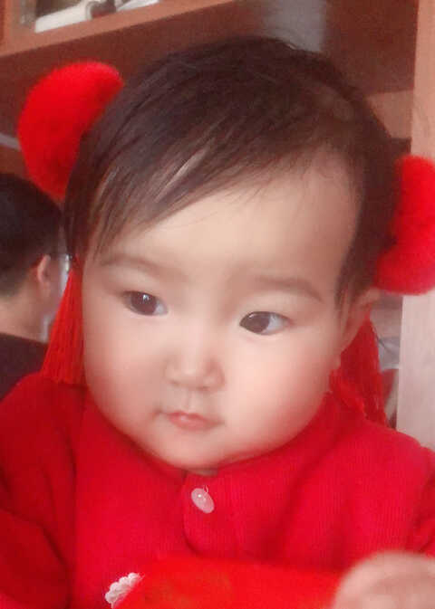 模特-