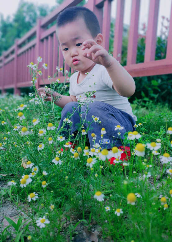 模特-