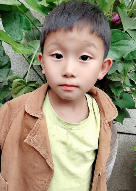 模特-