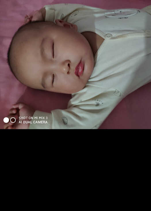 模特-