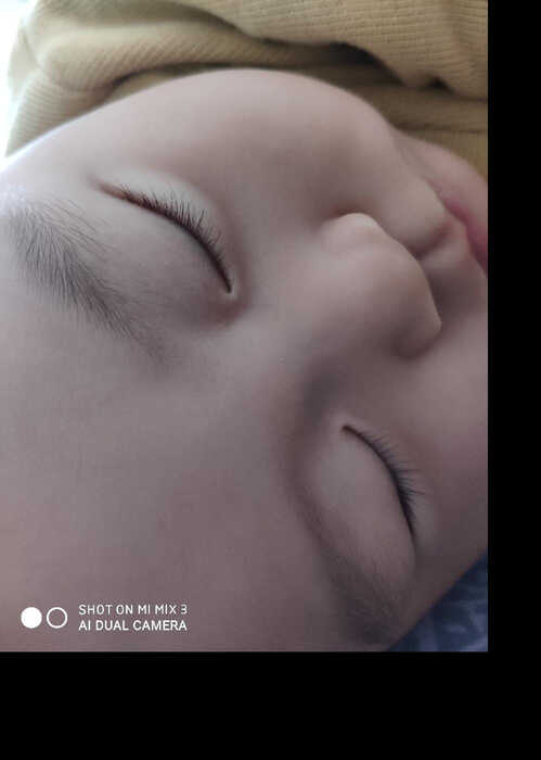 模特-