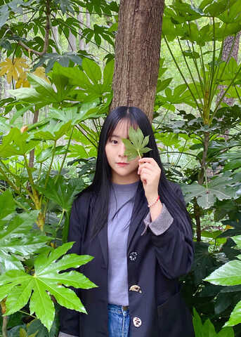 模特-