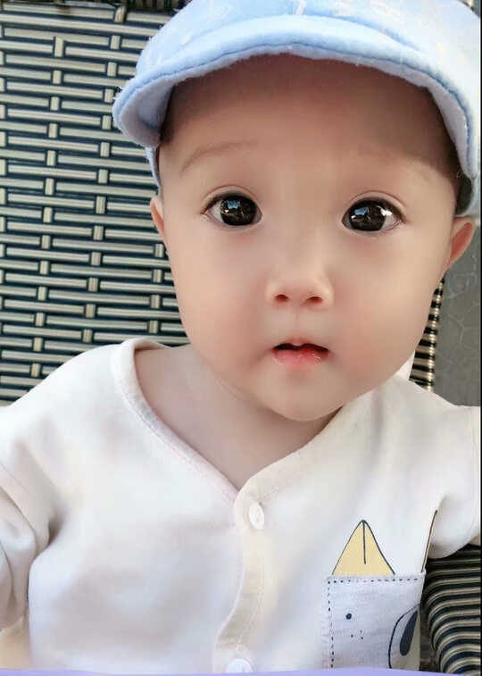 模特-