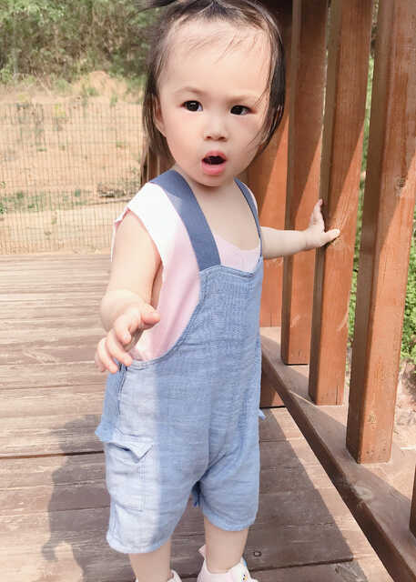 模特-