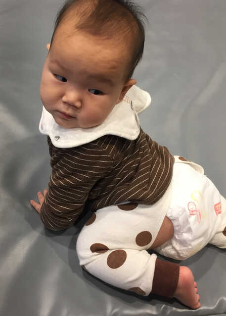 模特-