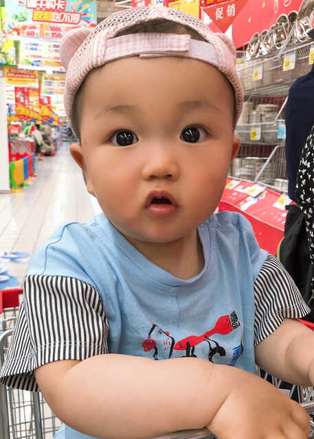 模特-
