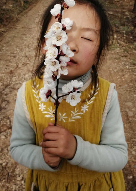 模特-