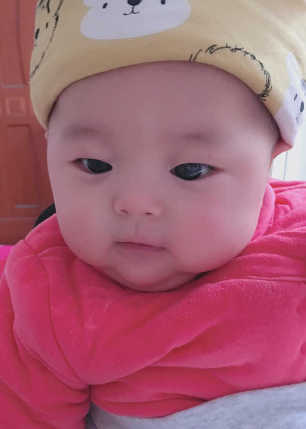 模特-