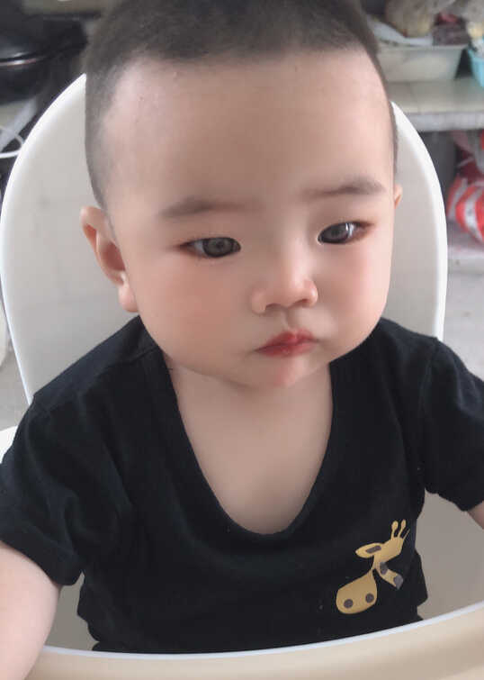 模特-