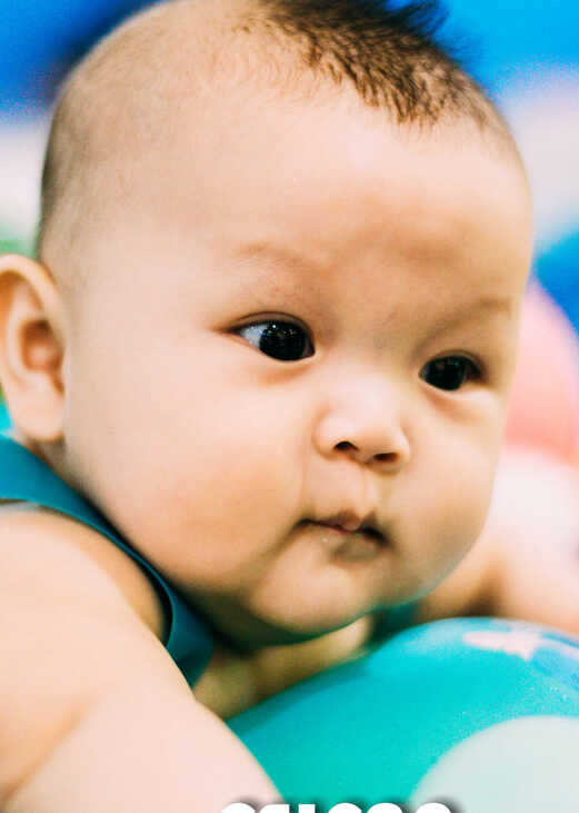 模特-