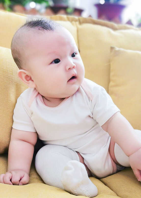 模特-