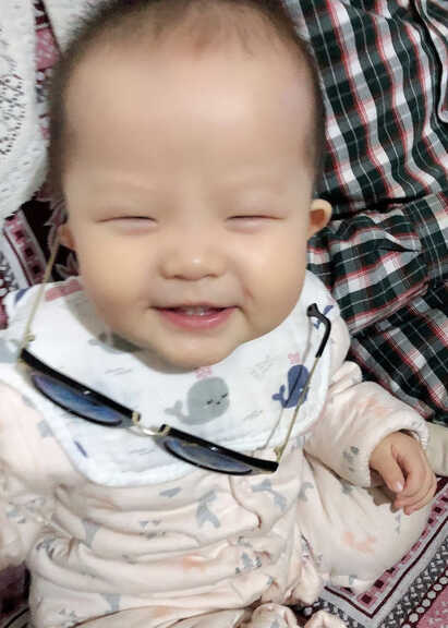 模特-