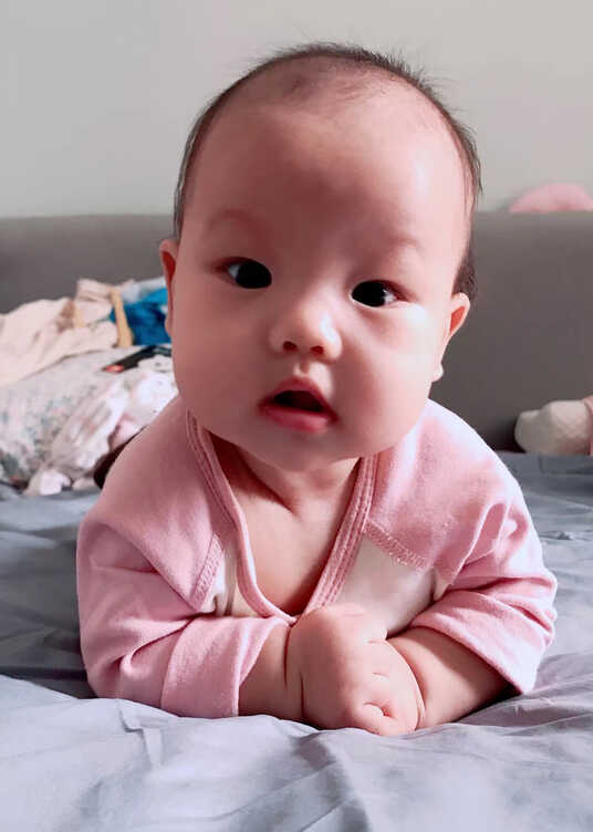 模特-