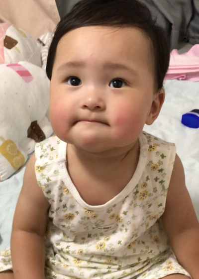 模特-