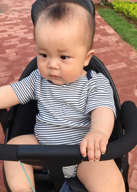模特-