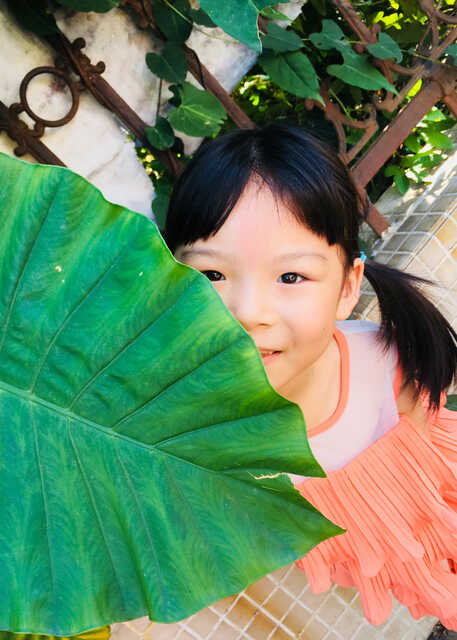 模特-