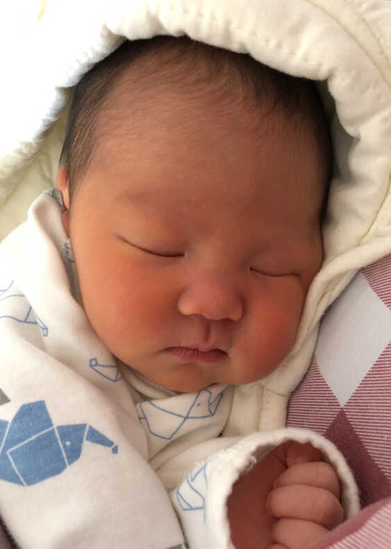 模特-