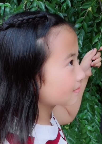 模特-