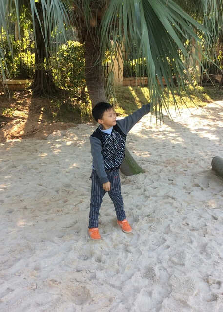 模特-