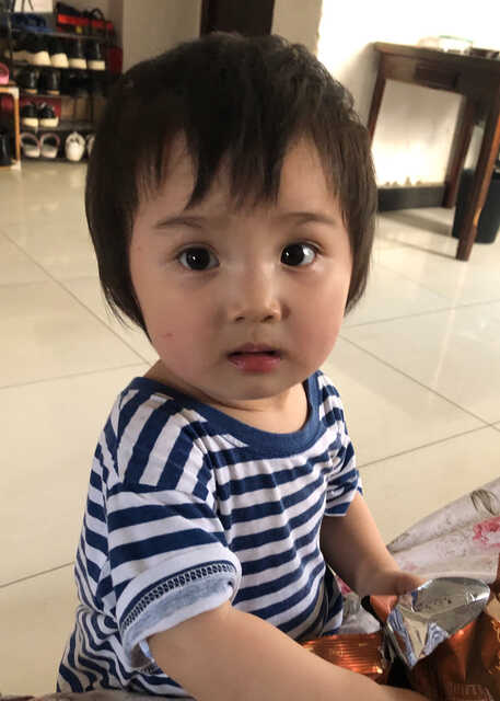 模特-