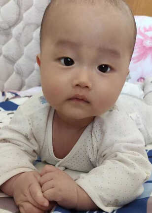模特-