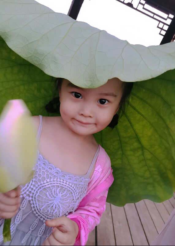 模特-