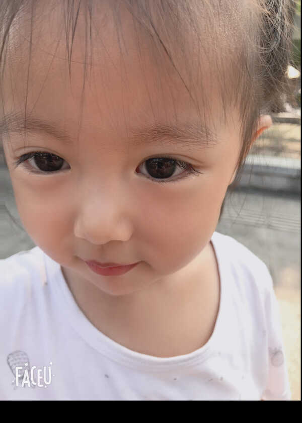 模特-