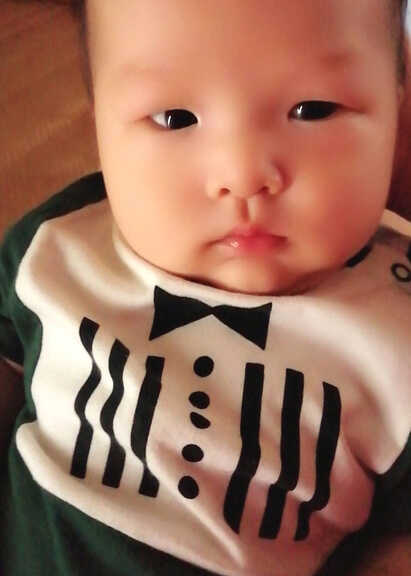 模特-