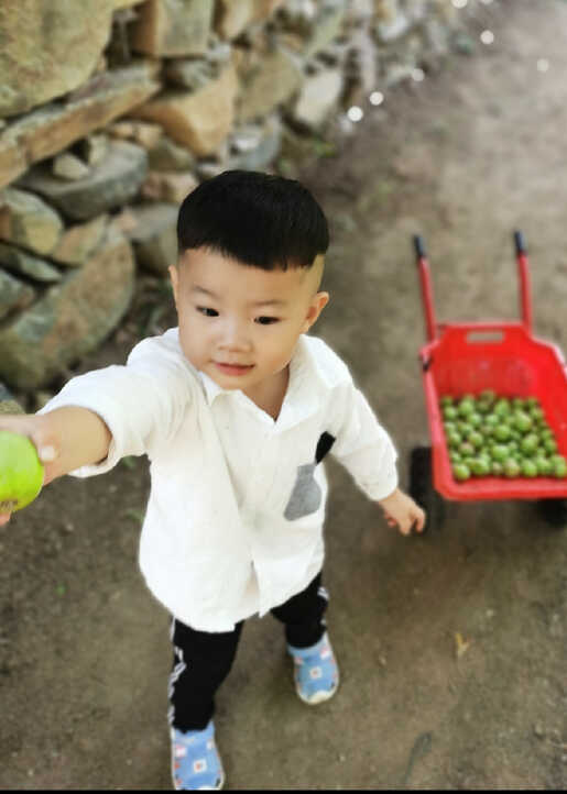 模特-