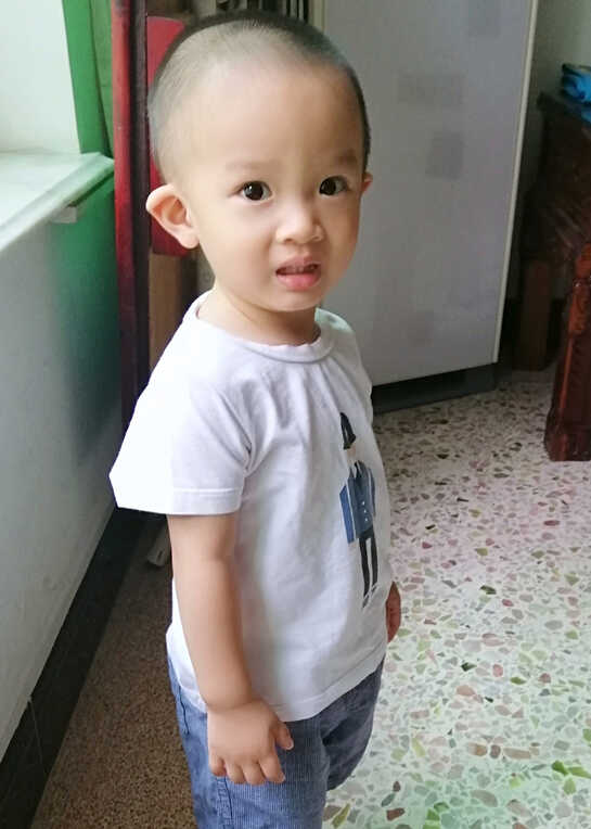 模特-