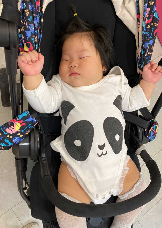 模特-