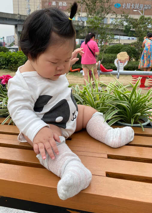 模特-