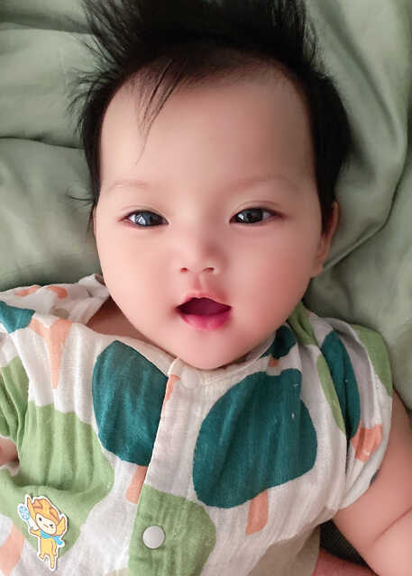 模特-